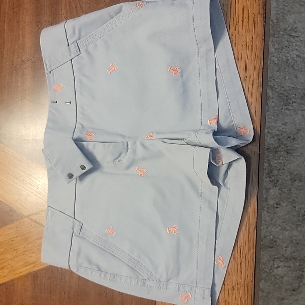 J.Crew Chino Shorts